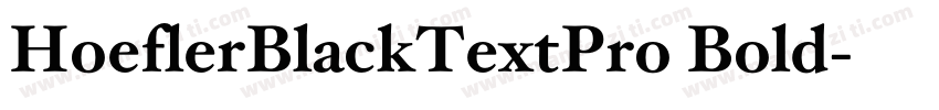 HoeflerBlackTextPro Bold字体转换